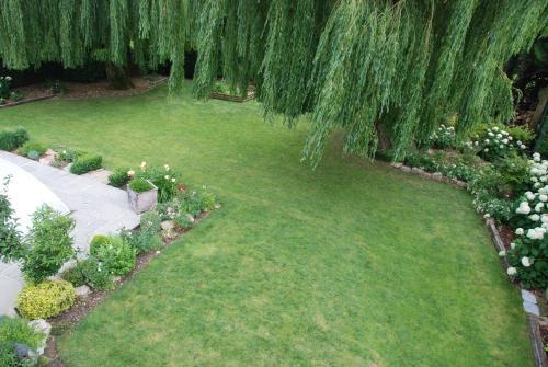 Bed & Breakfast Demeure Des Buis