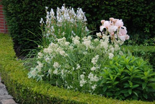 Bed & Breakfast Demeure Des Buis