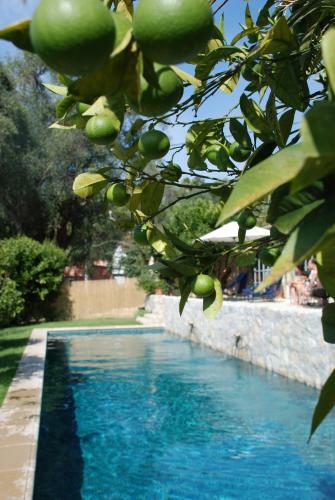 Bed & Breakfast Les Orangers