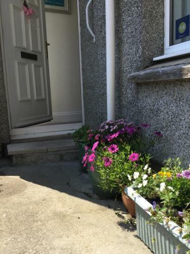 Penwyn Bed And Breakfast