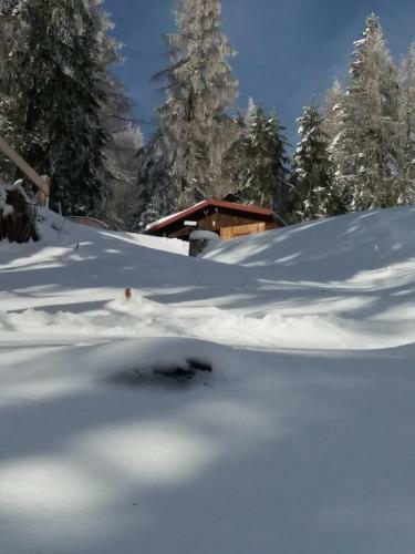 Chalet Petit