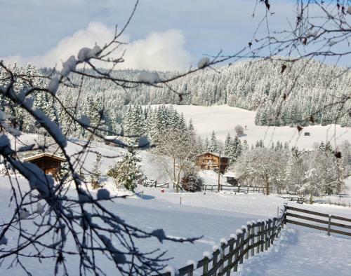 Hostal Pension Heidelberg - Fam Fuchs