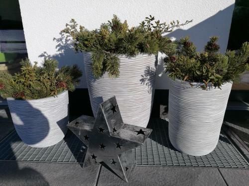 Apartamento Landhaus Desiree