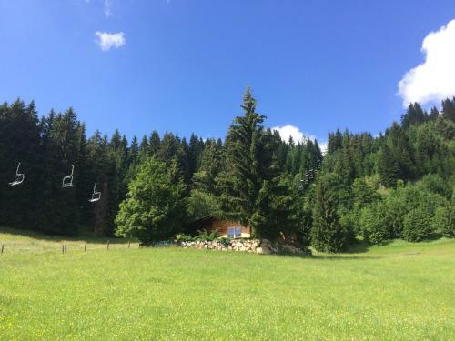 Chalet Julia