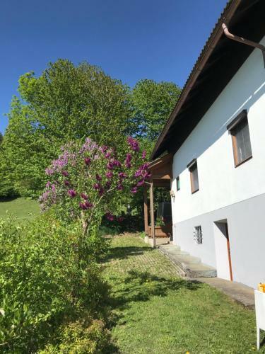 Haus Romsicht Karinthi�