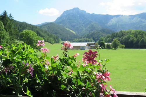 G�stehaus Wasserburger