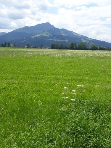 Apartamento Appartement M�llner