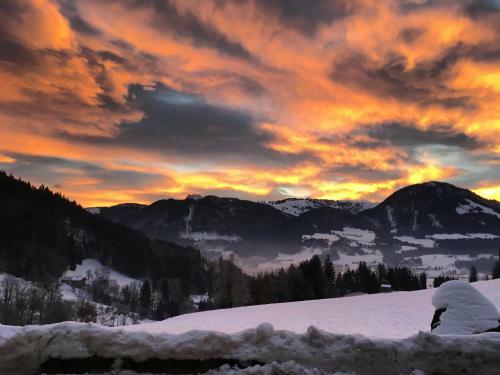 Hostal Mountain Blast