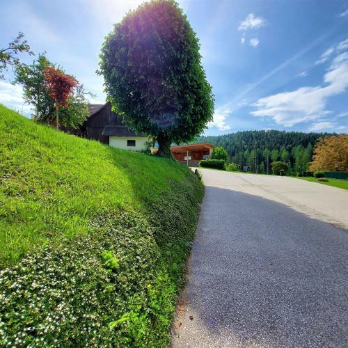Bed & Breakfast Landgasthof Hasbauer