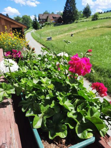 Apartamento Naturidyll Brunner