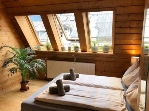 Apartments Inthal