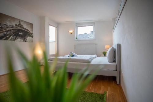 Innsbruck City Mountain View Apartment