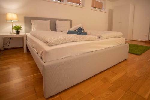 Innsbruck City Mountain View Apartment