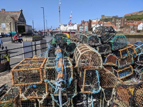 Whitby Sea View Cottage