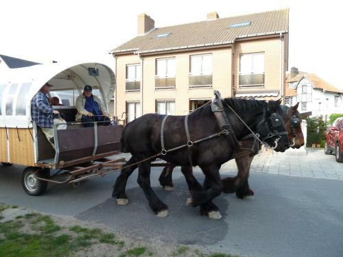 Bed & Breakfast Dodo Des Iles