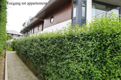 Apartamento Prinses Elisabeth