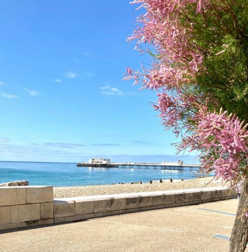 Apartamento Gorgeous Central Studio With Balcony, 2 Mins To Beach And Pier
