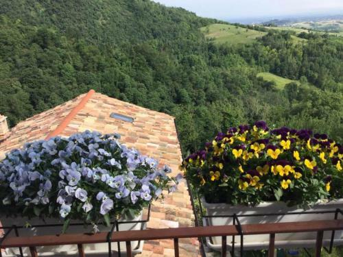 Apartamento B&B Monferrato La Casa Sui Tetti