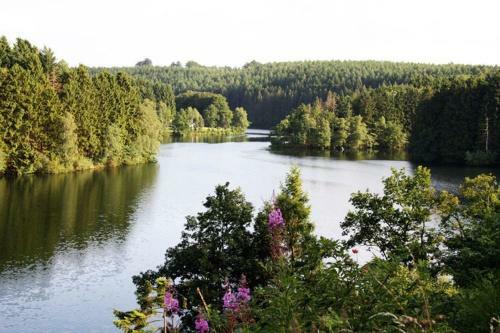 Luxurious And Charming Chalet With Sauna And Open Fireplace, Located By A Forest