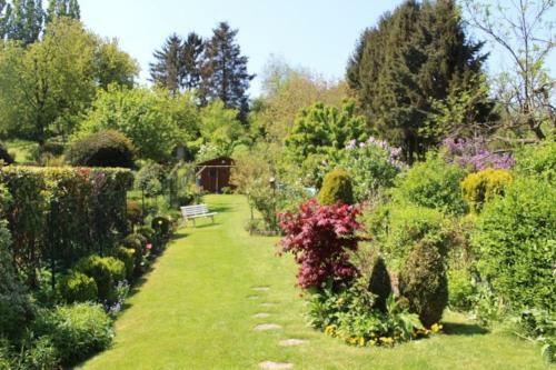 Hostal B & B Le Jardin Bed & Breakfasts
