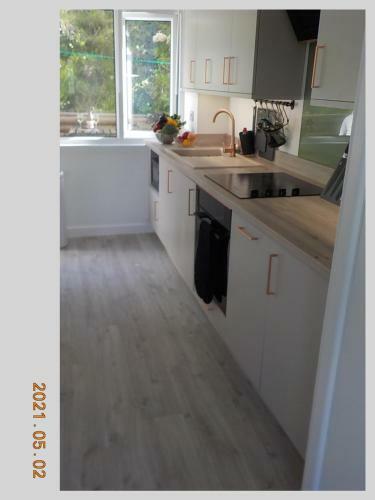 Sea Holly