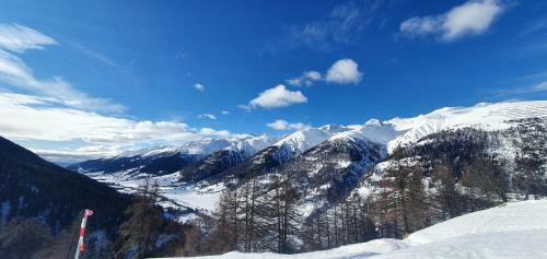 Bine Luxury Alp Chalet- Overlooking Goms Valley