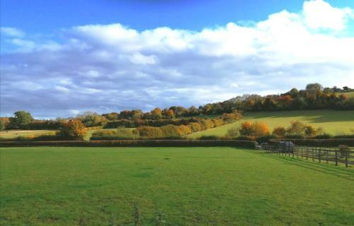Elderflower Cottage 3 Private Acres And Miles Walks