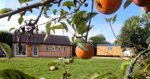 Elderflower Cottage 3 Private Acres And Miles Walks