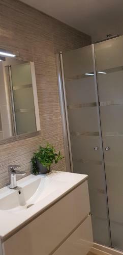 Apartamento Springvloed