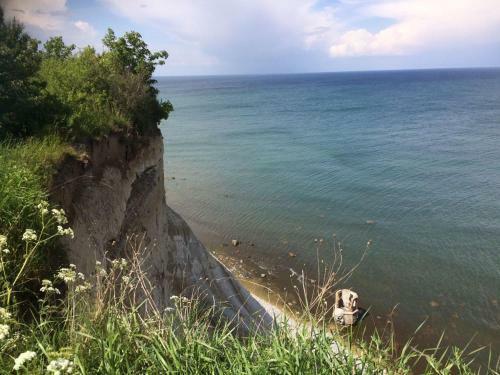 Apartamento Urlaub Unter Reet