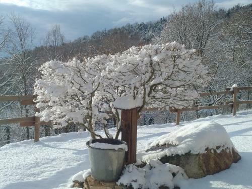 Bed & Breakfast 'l Ramassin