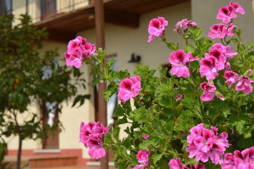 Bed & Breakfast 'l Ramassin