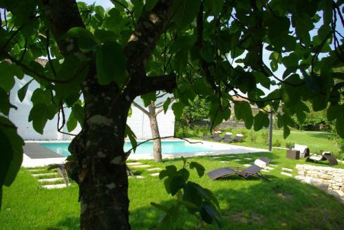 Bed & Breakfast Domaine de Bel Air Carpe Diem
