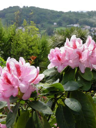 Bed & Breakfast Chambres D'h�tes Haitz Ondo