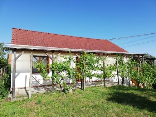 Apartm�n S Vinn�m Sklepem Four Grapes