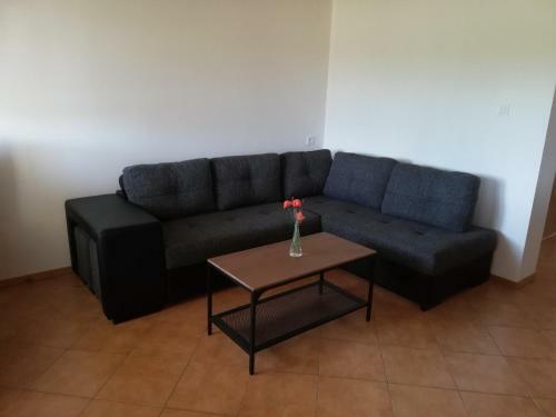 Apartm�n S Vinn�m Sklepem Four Grapes