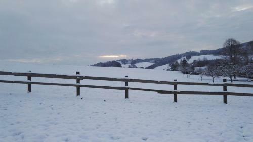 Hostal Pension Herm�na