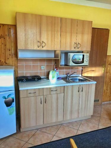 Apartm�ny U ?v�carsk�ho Dvora