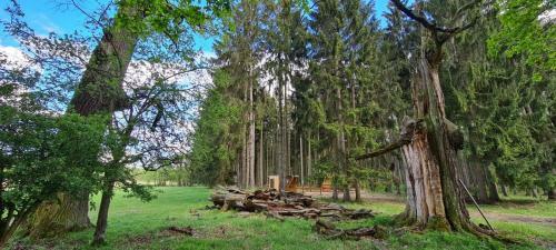 Tiny House U Rybn�ka