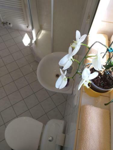 Hostal U Pohody