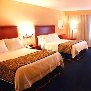 Hotel Courtyard By Marriott Columbia