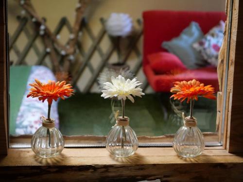 Bed & Breakfast La Placette Albigeoise