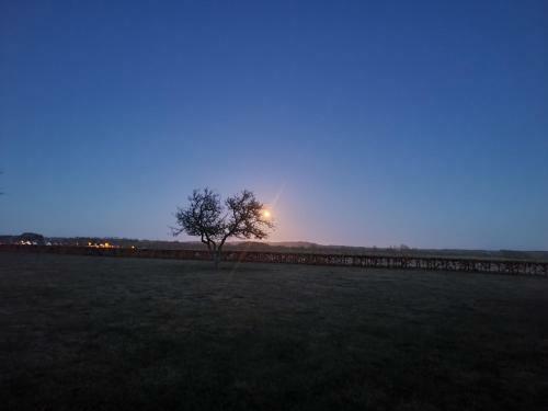 Stendalgaard B&B