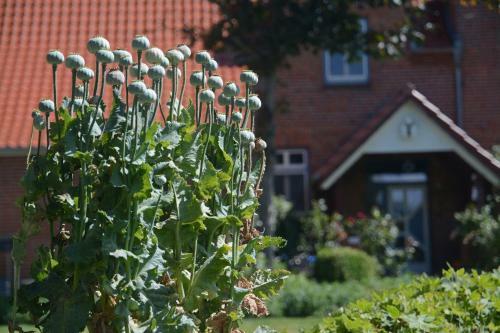 Apartamento Hof Brinker - Kuhstall