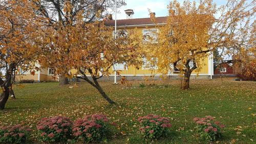 Agroturismo Siiril�n Tila