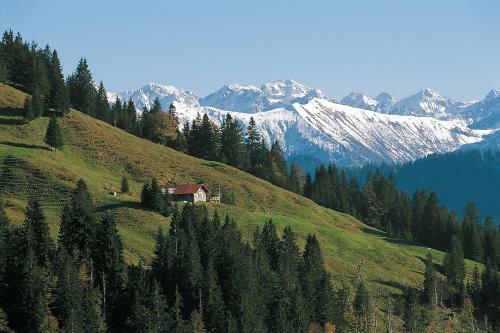Apartamento Ferienwohnungen Alpentraum - Hirschsprung