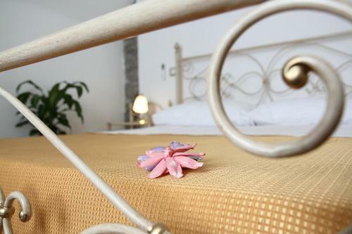 B&B Panta Rei