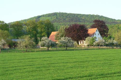 Apartamento Ferienwohnung An Der Obstwiese