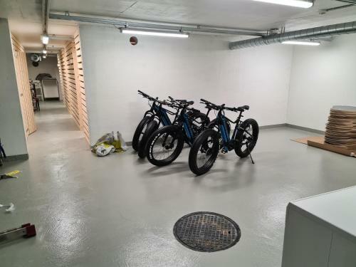 Apartamento Levibooking Lost In Levi Apt 102