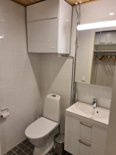 Apartamento Levibooking Lost In Levi Apt 102